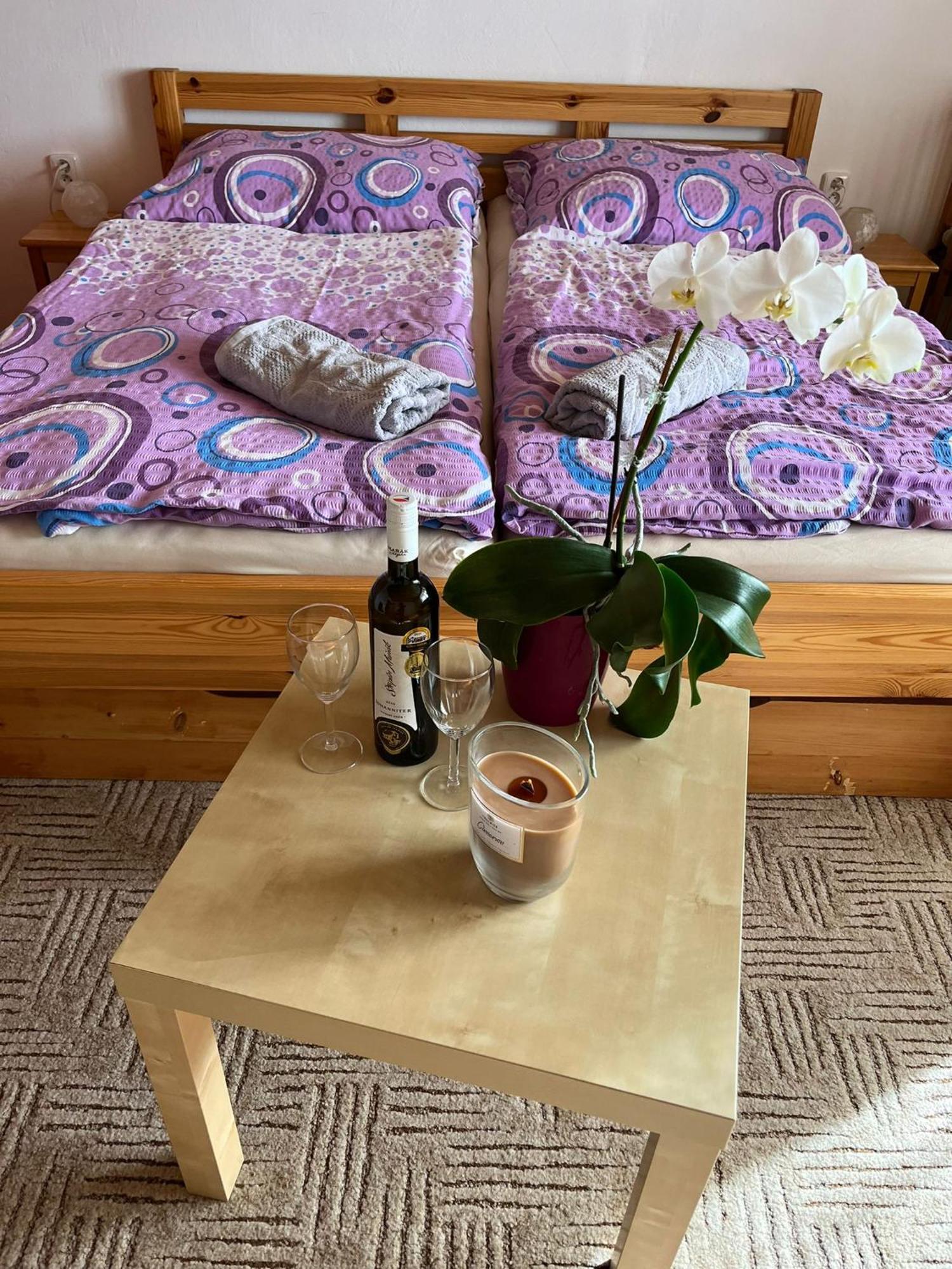 Apartman Za Kostelem Zvole  Ruang foto